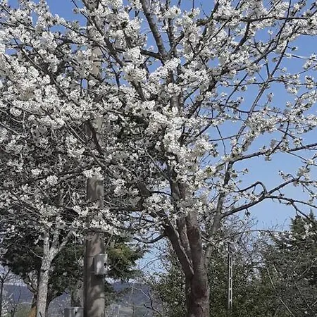 Da Luigi Casa vacanze *