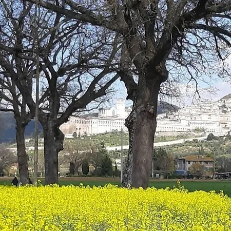 Da Luigi Casa vacanze *