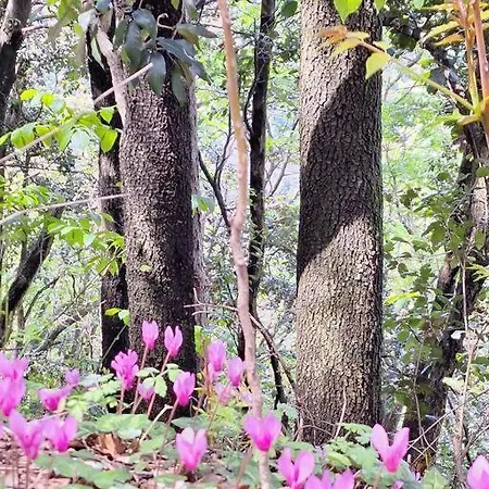 Casa vacanze Da Luigi