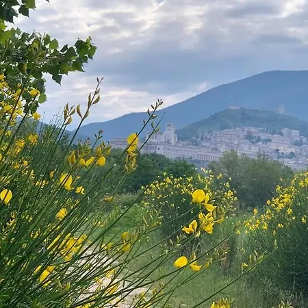 Da Luigi 度假居 阿西西