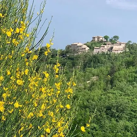 Da Luigi Assisi