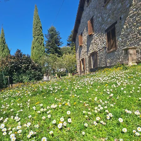 Holiday home Da Luigi Assisi